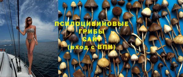 мдма Медногорск