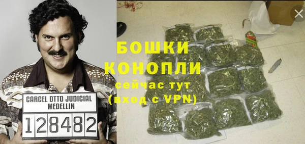 стаф Мегион