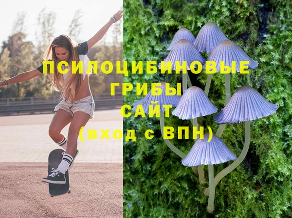 ALPHA PVP Ижевск